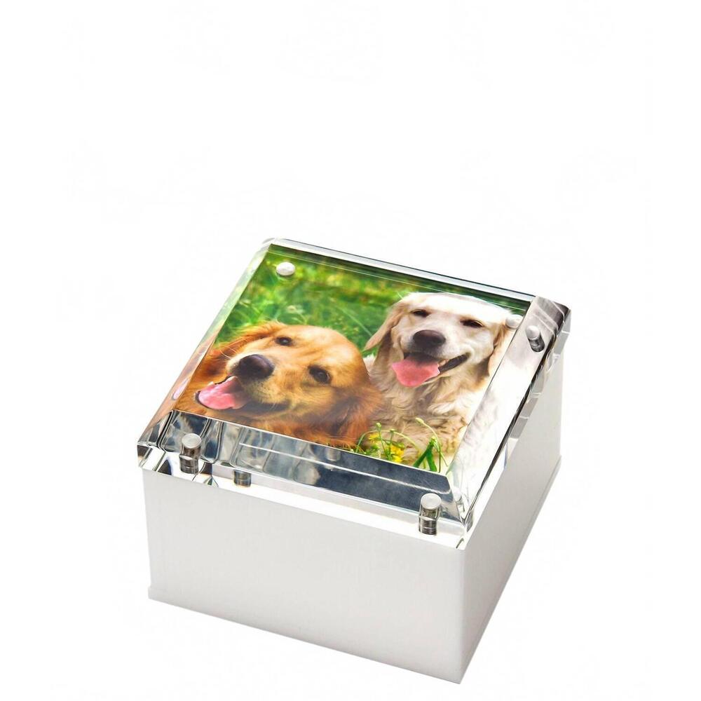 NEW TARA WILSON DESIGNS small photo box - 4 x 4 in clear